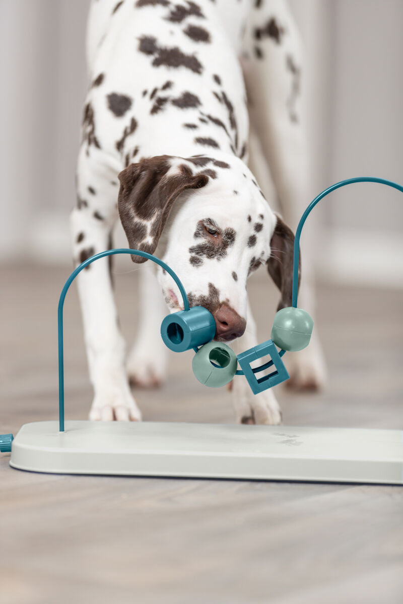 Ein weißer Hund mit dunklen Flecken spielt mit einem blauen Spielzeug aus Plastik, das auf dem Boden steht.