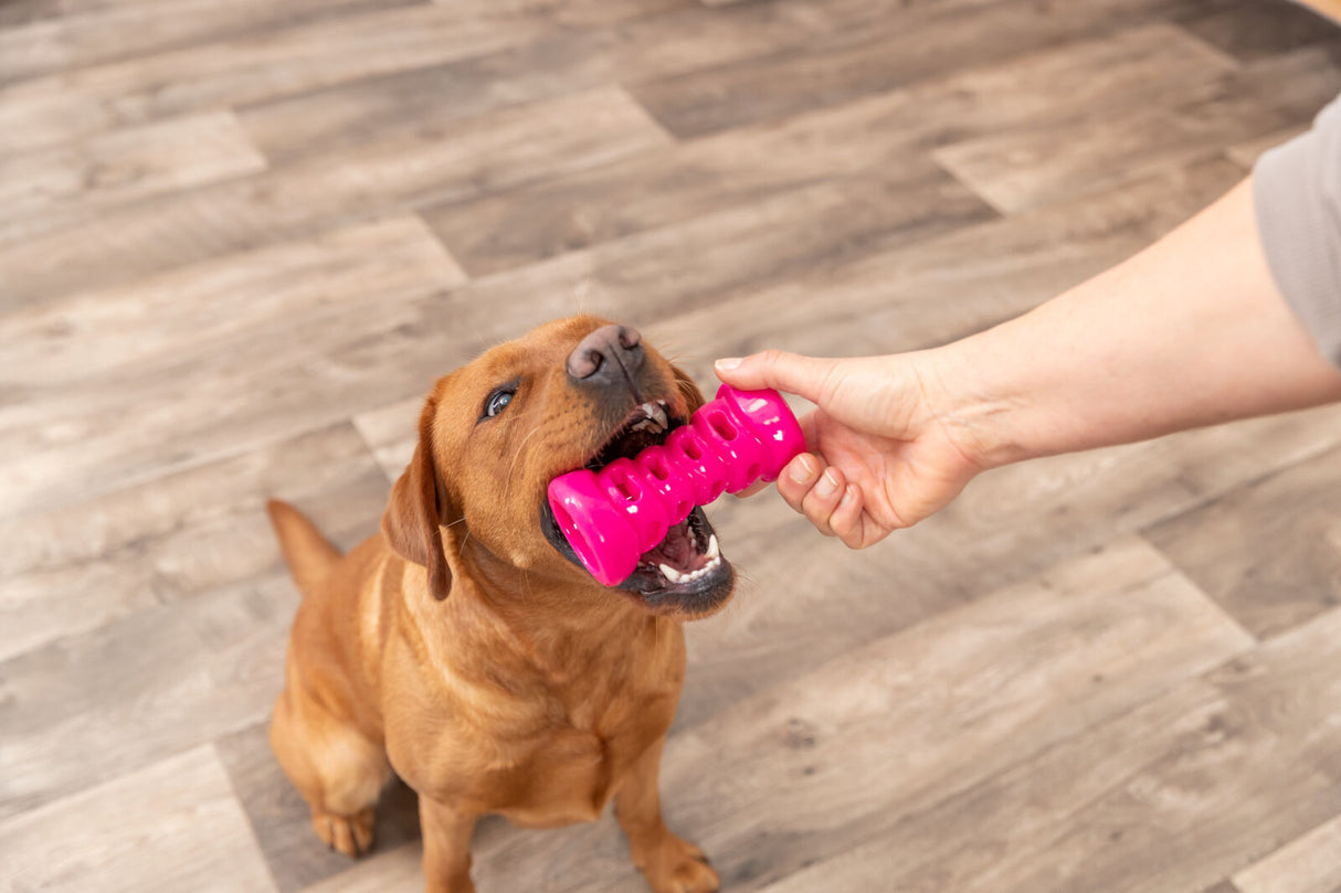 Hundespielzeug Soft & Strong Bone aus TPR