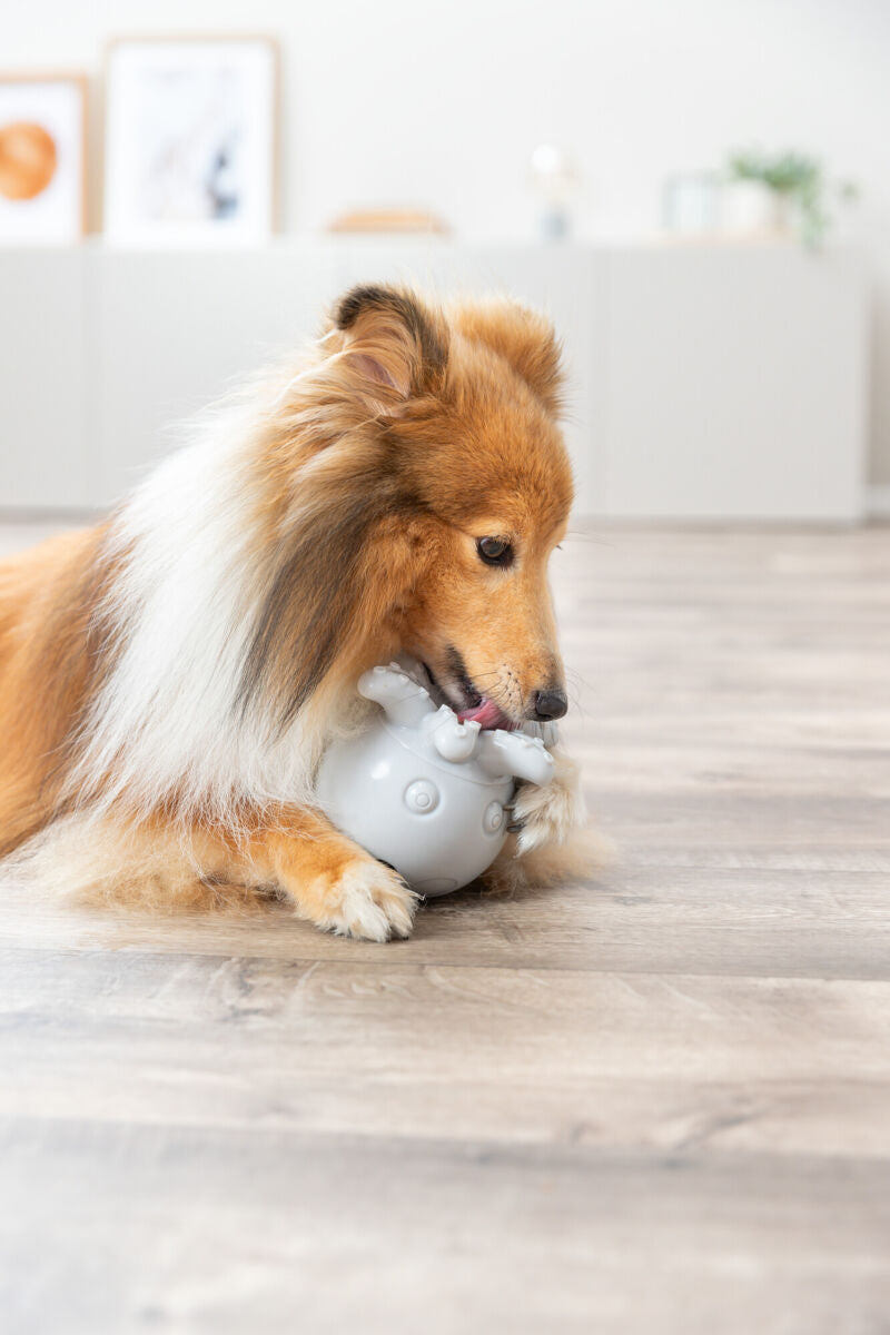 Ein Hund mit langem Fell kaut auf einem grauen Spielzeug auf einem Holzboden.