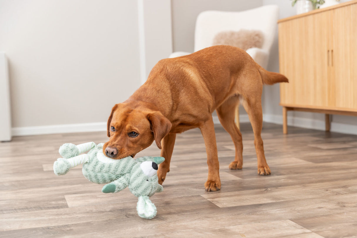 Hundespielzeug gestreifter Plüsch-Hund, salbeifarben mit Quietscher