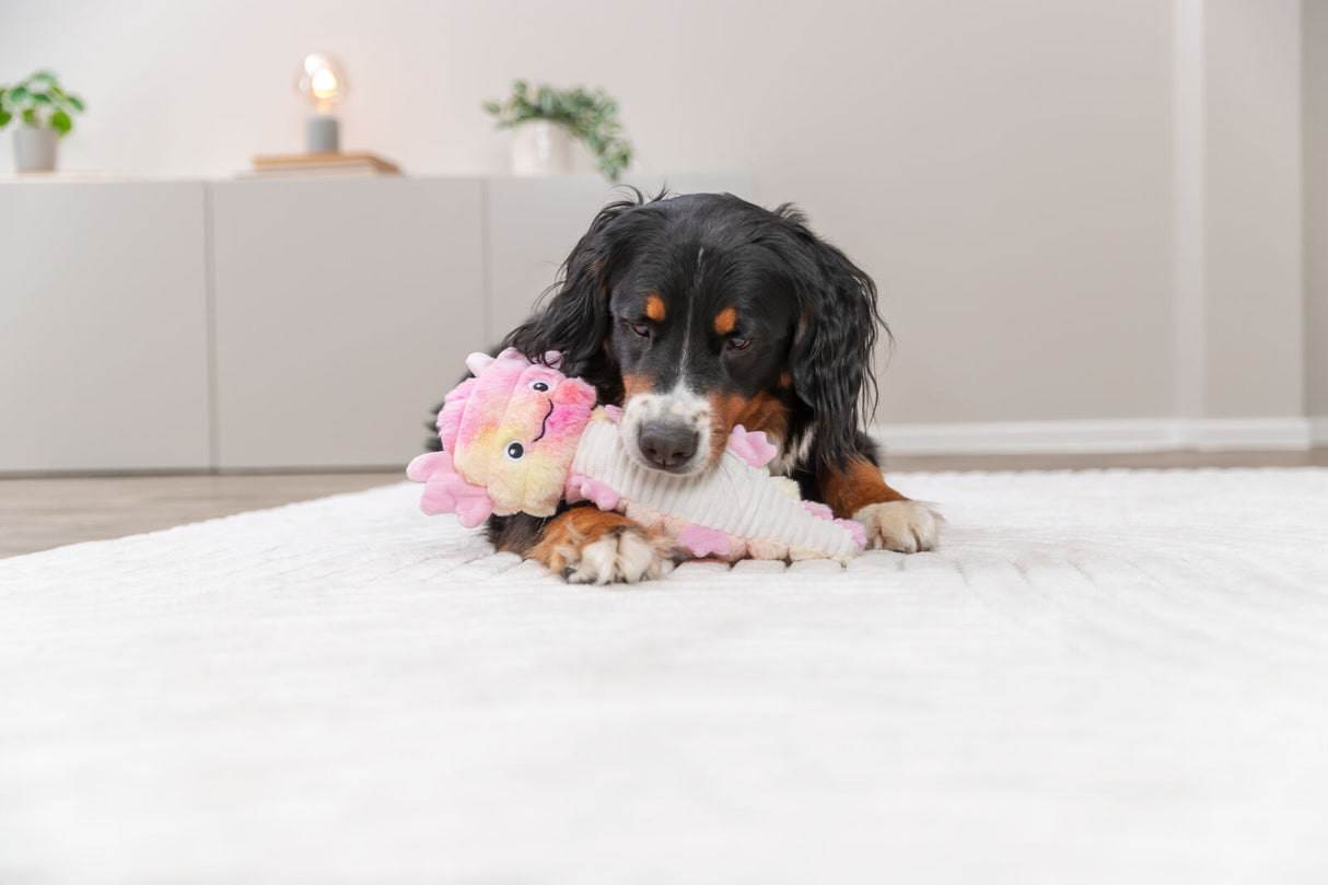Hund liegt in einem Zimmer auf einer weißen Decke und hält ein pinkes Plüschtier.