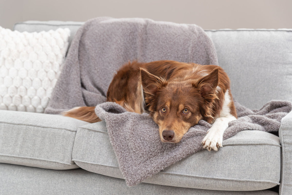 Decke Wooly