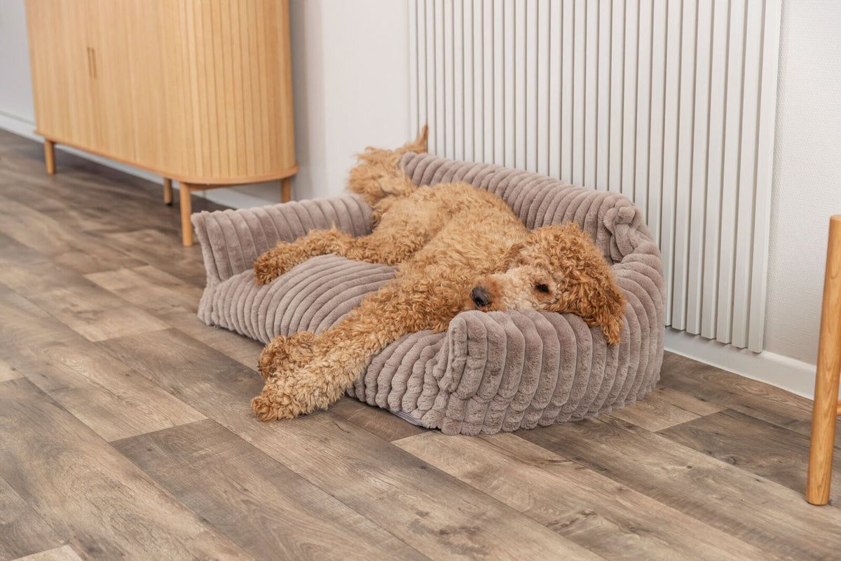 Vital Sofa Lonni