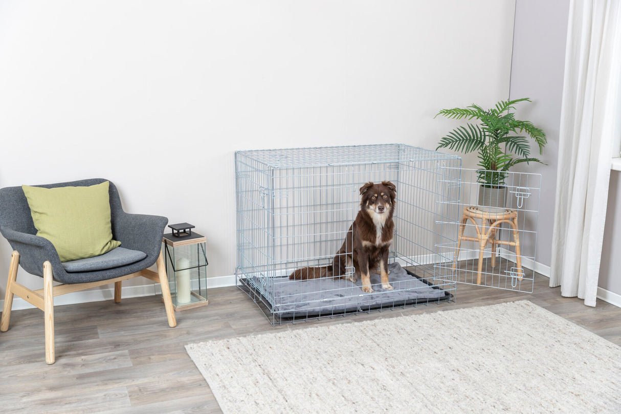 Hund sitzt in einem offenen Metallkäfig auf einer grauen Matte neben einem Stuhl mit grünem Kissen und einer Pflanze.