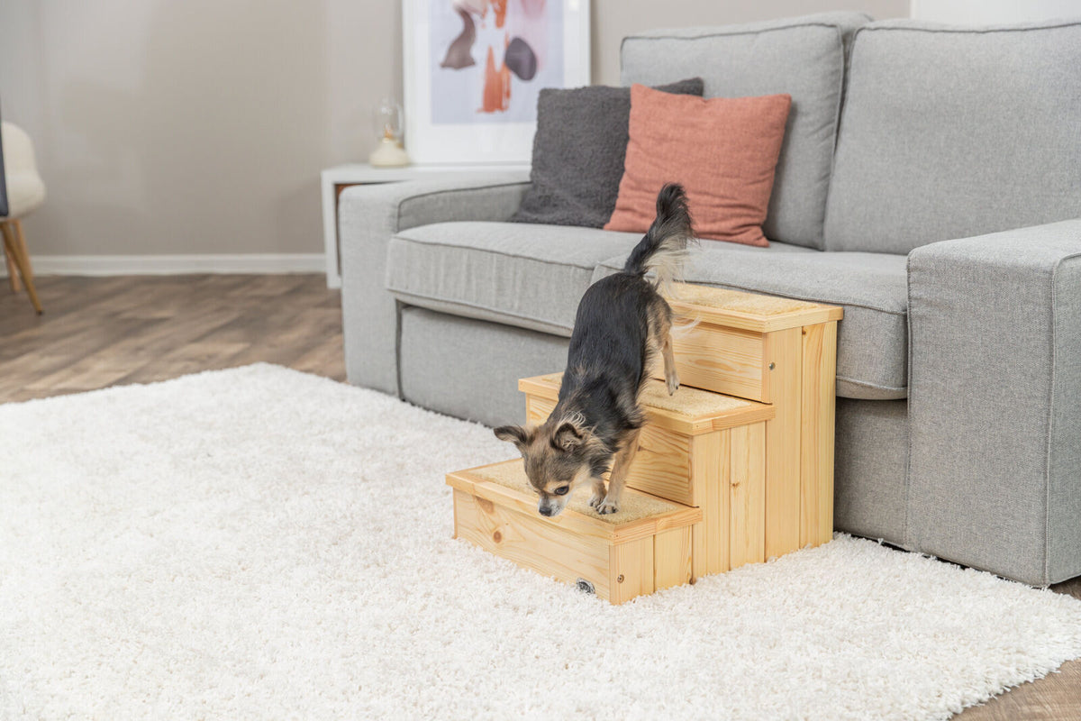 Ein kleiner Hund benutzt eine Holztreppe neben einem grauen Sofa, das auf einem weißen Teppich steht.
