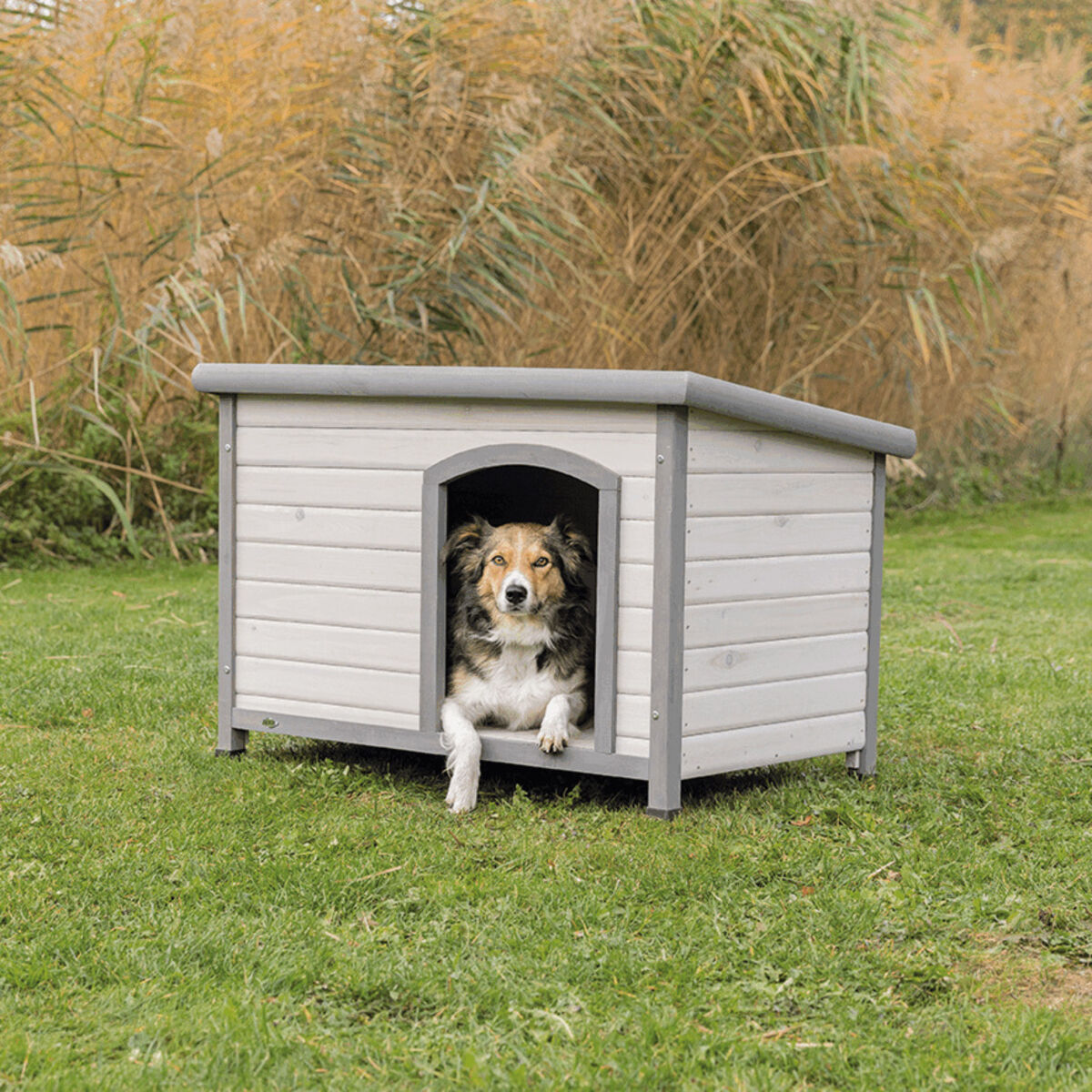 Ein Hund liegt in einem grauen Hundehäuschen aus Holz auf einer grünen Wiese, im Hintergrund hohes Gras.