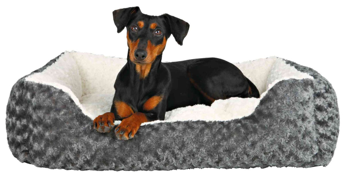 Ein schwarzer Hund liegt in einem grauen, plüschigen Bett mit weißem Innenfutter.
