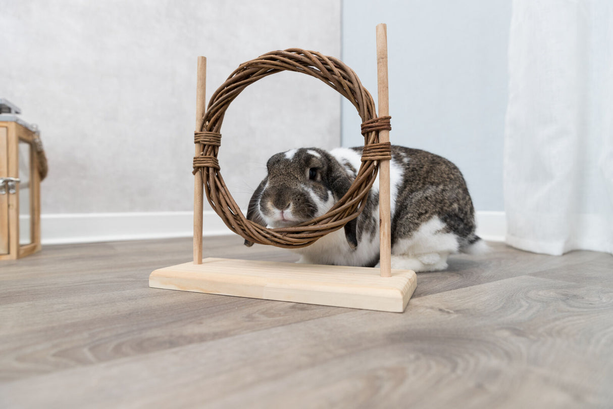 Ein Kaninchen sitzt auf einem Holzboden hinter einem Holzspielzeug mit einem runden, geflochtenen Ring.