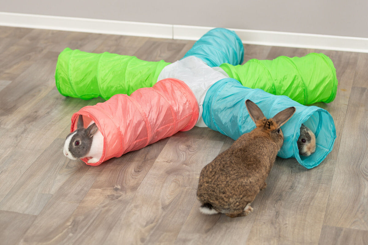 Kaninchen spielen auf einem Holzboden mit einem bunten Tunnelspielzeug in Grün, Blau, Weiß und Rosa.