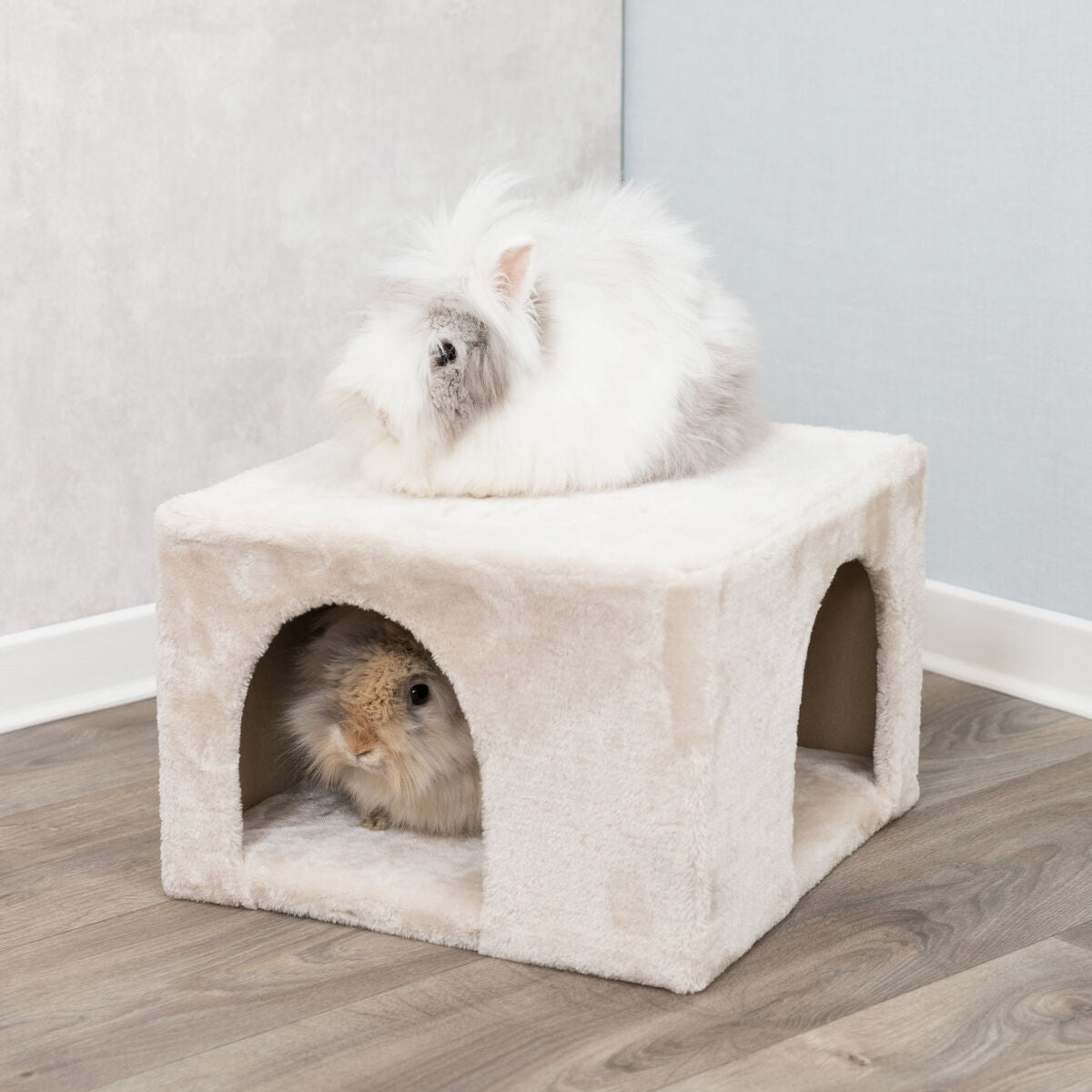 Zwei flauschige Kaninchen, eines auf einer beigen Höhle sitzend und das andere in der Öffnung darunter.