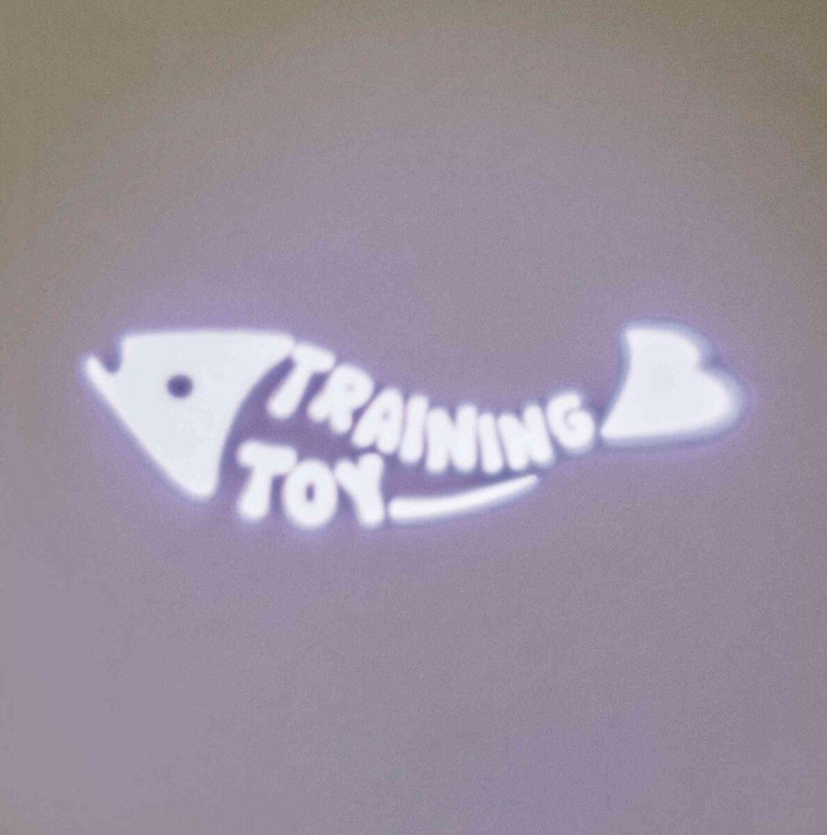 Projiziertes Fischsymbol mit Text "Training Toy" auf heller Oberfläche.