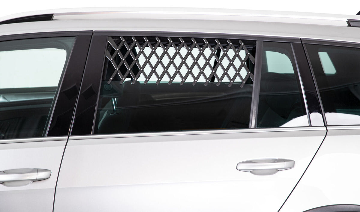 Silbernes Auto mit geschlossenen Fenstern und einem schwarzen Gitter im oberen Teil des hinteren Seitenfensters.