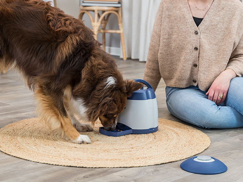 TRIXIE Memory Trainer - Das Strategiespiel für Hunde von TRIXIE