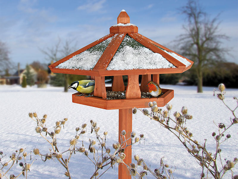 Fütterung von Wildvögeln im Winter