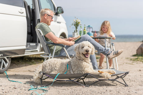 Frau sitzt im Zelt und hält einen kleinen Hund am Halsband, Blick nach draußen ins Grüne.