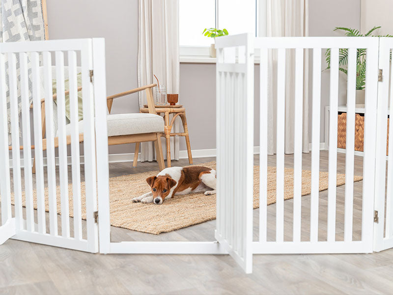 Weißes Absperrgitter für Hunde im Wohnzimmer mit kleinem Hund auf Teppich im Hintergrund.