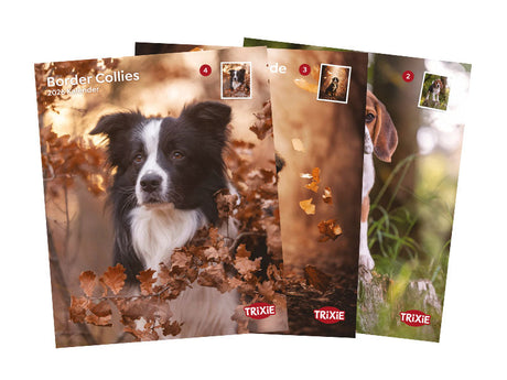 Drei TRIXIE-Kataloge mit Hunden auf herbstlich gestalteten Covern nebeneinander angeordnet