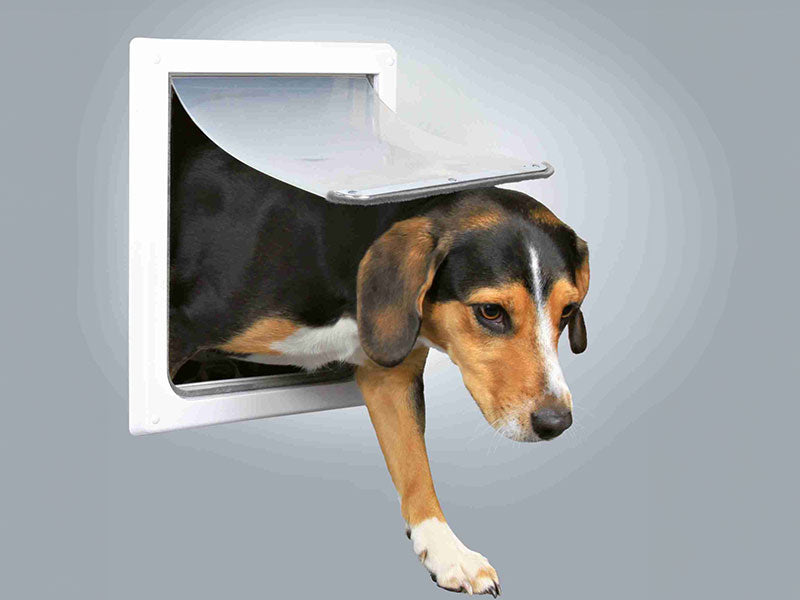 Hund geht durch eine weiße Klappe mit flexiblem Durchgangsflügel.