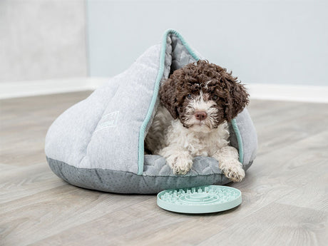 Kleiner Hund liegt in einem grauen Kuschelbett mit Zeltform neben einem türkisfarbenen Schleckspielzeug auf Holzfußboden.