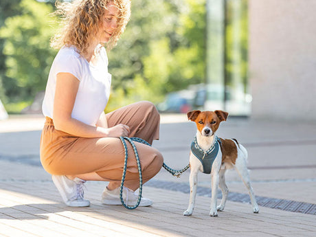 Frau in weißem Shirt hockt neben Hund mit grünem Geschirr und passender Leine auf Pflasterweg.