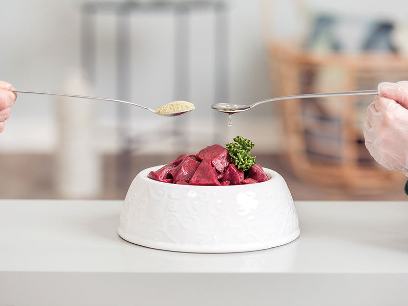 Zwei Hände halten Löffel mit Zusätzen über einem Napf mit rohem Fleisch und einem Petersilienstängel.