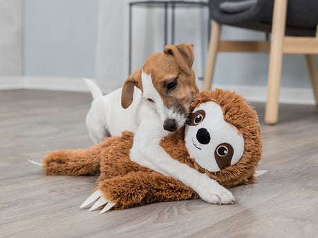Kleiner Hund spielt auf dem Boden mit einem großen braunen Faultier-Plüschtier.