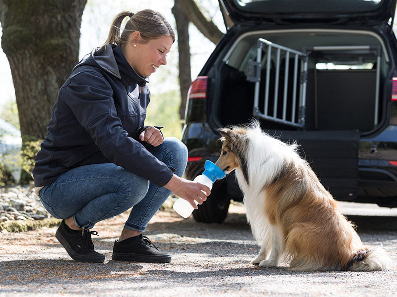 Frau gibt einem Collie Wasser aus einer blauen Trinkflasche, Hund sitzt vor einem geöffneten Auto mit eingebautem Hundegitter.