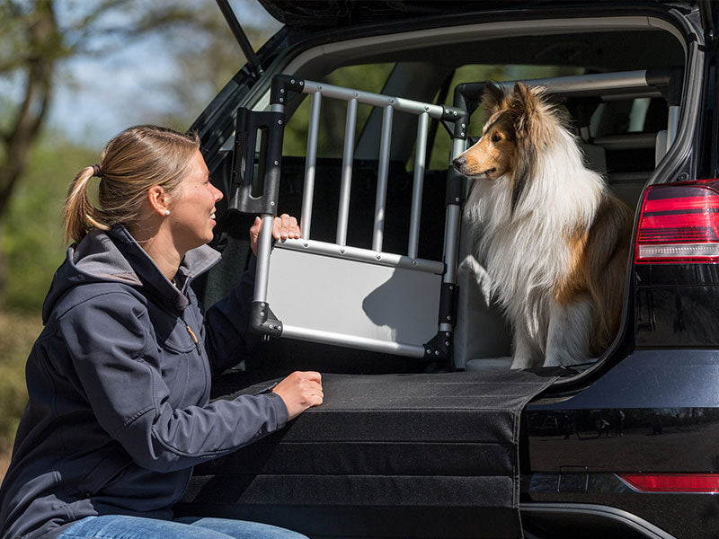 Frau kniet vor geöffneter Autotür und spricht mit Collie, der in einer Hundebox im Kofferraum sitzt.
