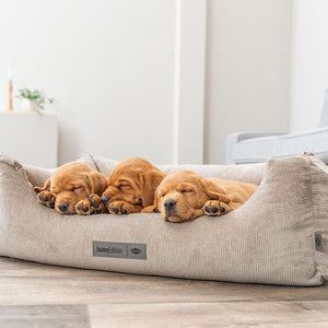 Hundebetten
