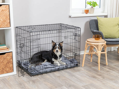 Hund liegt auf einer grauen Matte in schwarzer Gitterbox im Wohnzimmer.