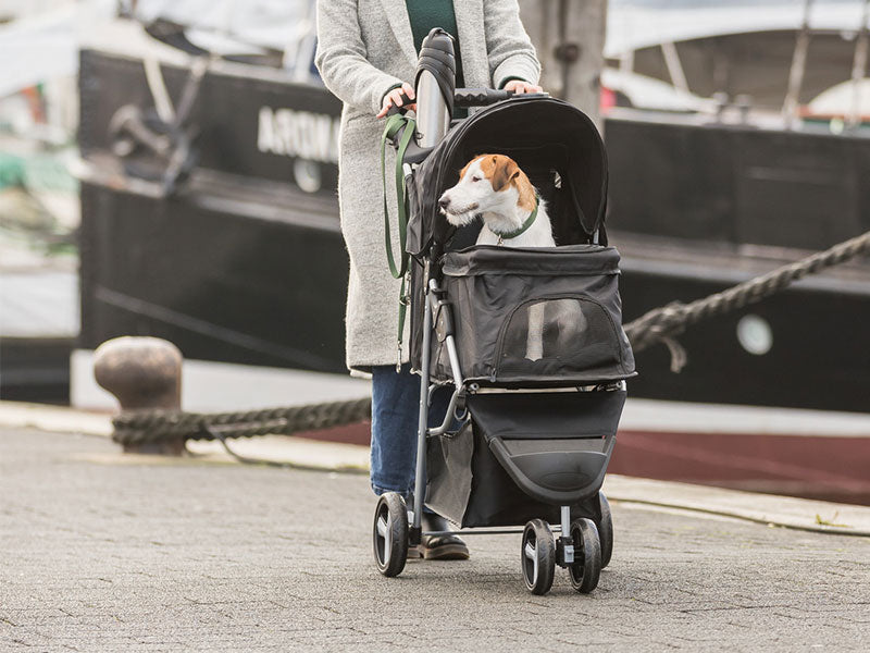 Hund sitzt in einem schwarzen Haustierbuggy an einem Hafen.