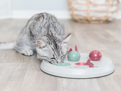 Graue Katze spielt auf hellem Boden mit rundem Intelligenzspielzeug in Weiß, Mint und Rosa