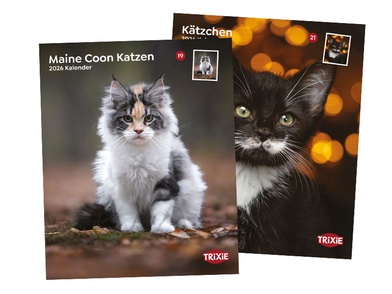 Zwei Katzenkalender mit Titelbildern von Maine Coon und schwarzem Kätzchen vor unscharfem Hintergrund