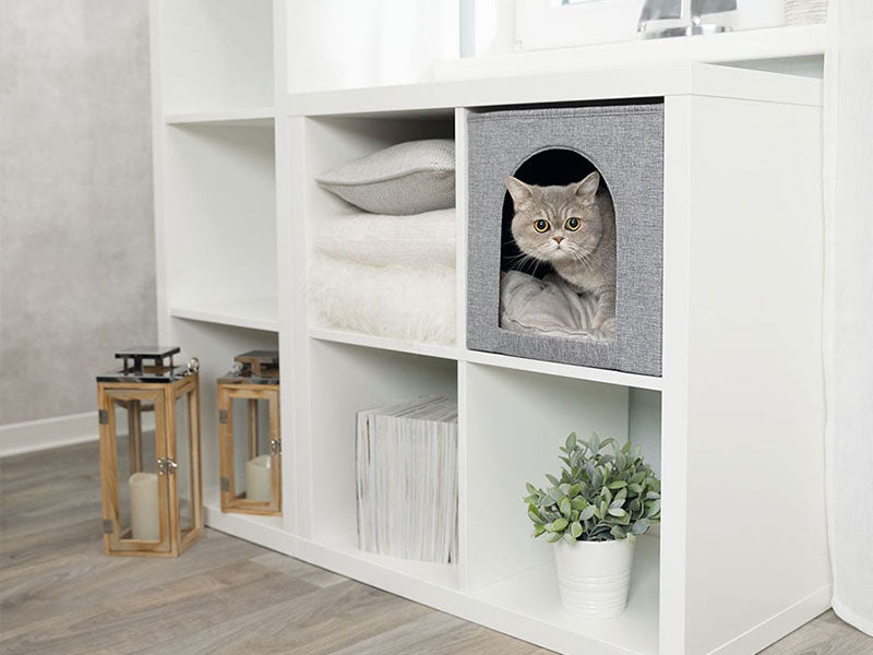Katze sitzt in einer grauen Höhle in einem weißen Regal mit Handtüchern, Pflanzen und Laternen.