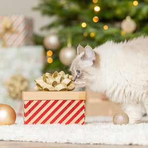 Weihnachten