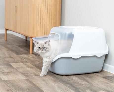 Katze steigt aus überdachter Katzentoilette mit Schwingtür