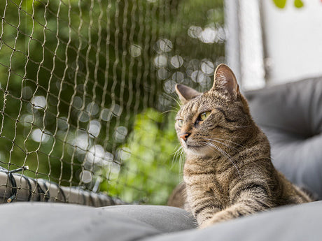 Getigerte Katze liegt auf Balkonmöbel vor gespanntem Katzennetz mit Blick ins Grüne