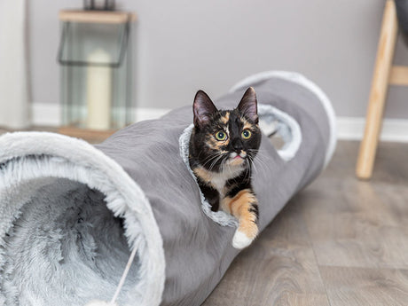 Katze liegt im grauen Plüschspieltunnel mit seitlicher Öffnung auf Holzfußboden
