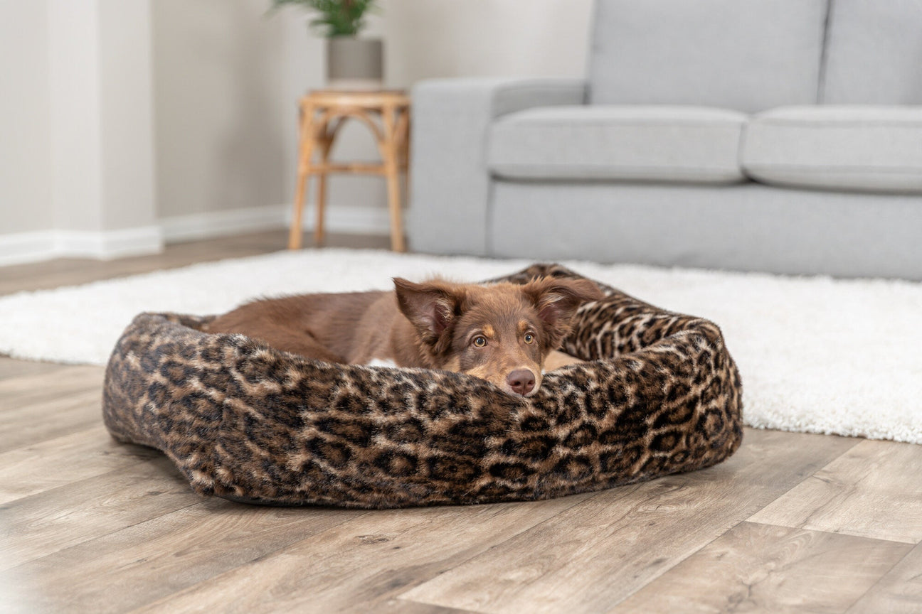 Leoparden-Look für Hund & Katze