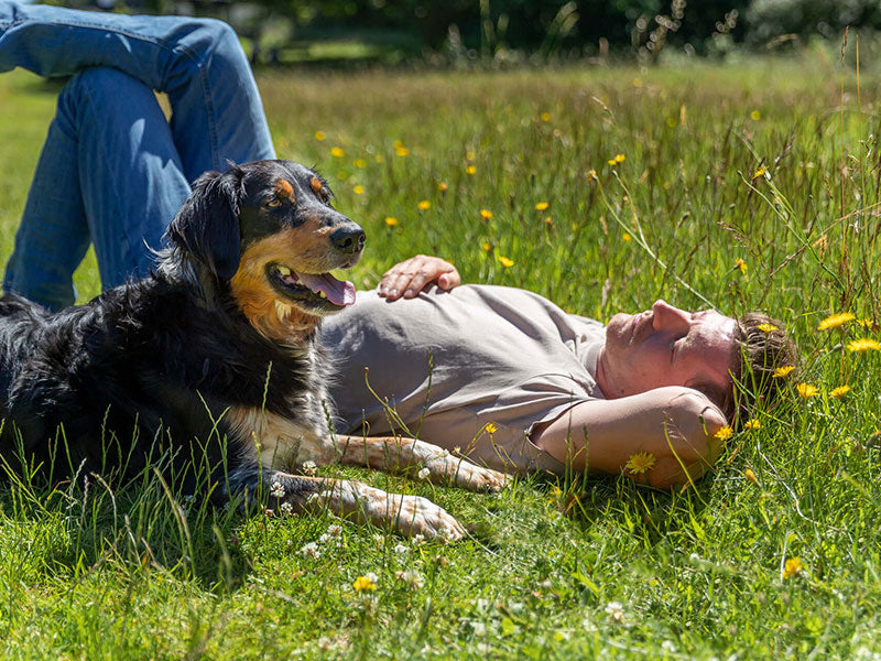 Mann liegt entspannt auf einer Wiese, neben ihm liegt ein Hund mit heraushängender Zunge.