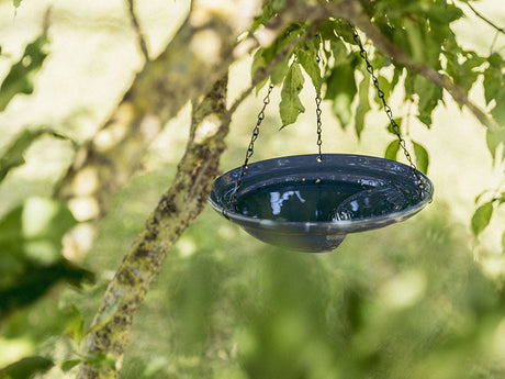 Hängende Vogeltränke aus dunklem Material an einem Ast im grünen Garten befestigt.