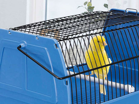 Gelber Kanarienvogel sitzt in einer blauen Transportbox mit schwarzem Gitterdeckel.