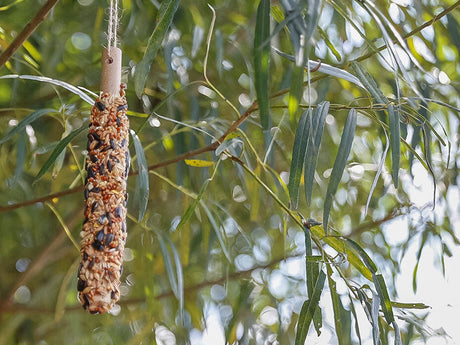 Vogelfutterstange aus Körnern an einem Ast im grünen Blätterhintergrund aufgehängt.