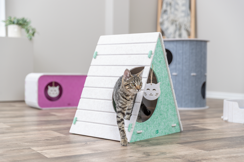 Katze läuft aus einer mintgrünen Filzhöhle, im Hintergrund weitere Filzartikel in Pink und Grau-Blau im Wohnraum.