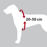 Silhouette eines Hundes mit rotem Pfeil um den Brustbereich und Text "20–50 cm" auf grauem Hintergrund.