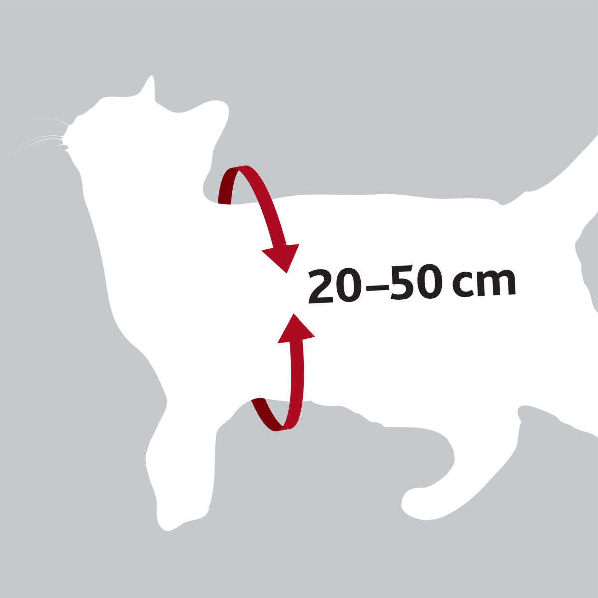 Silhouette einer Katze mit einem Pfeil und der Aufschrift "20–50 cm" auf grauem Hintergrund.