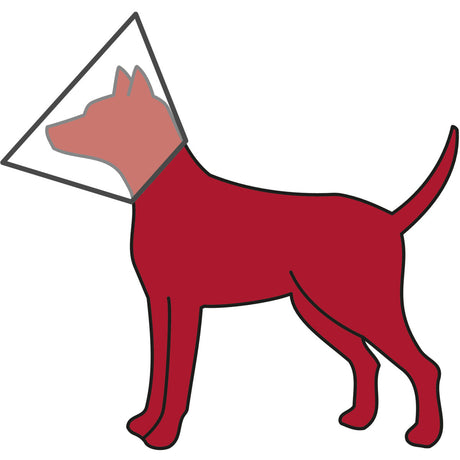Roter Umriss eines Hundes mit einem transparenten Halskragen im schützenden Stil einer Tierarztkragen.
