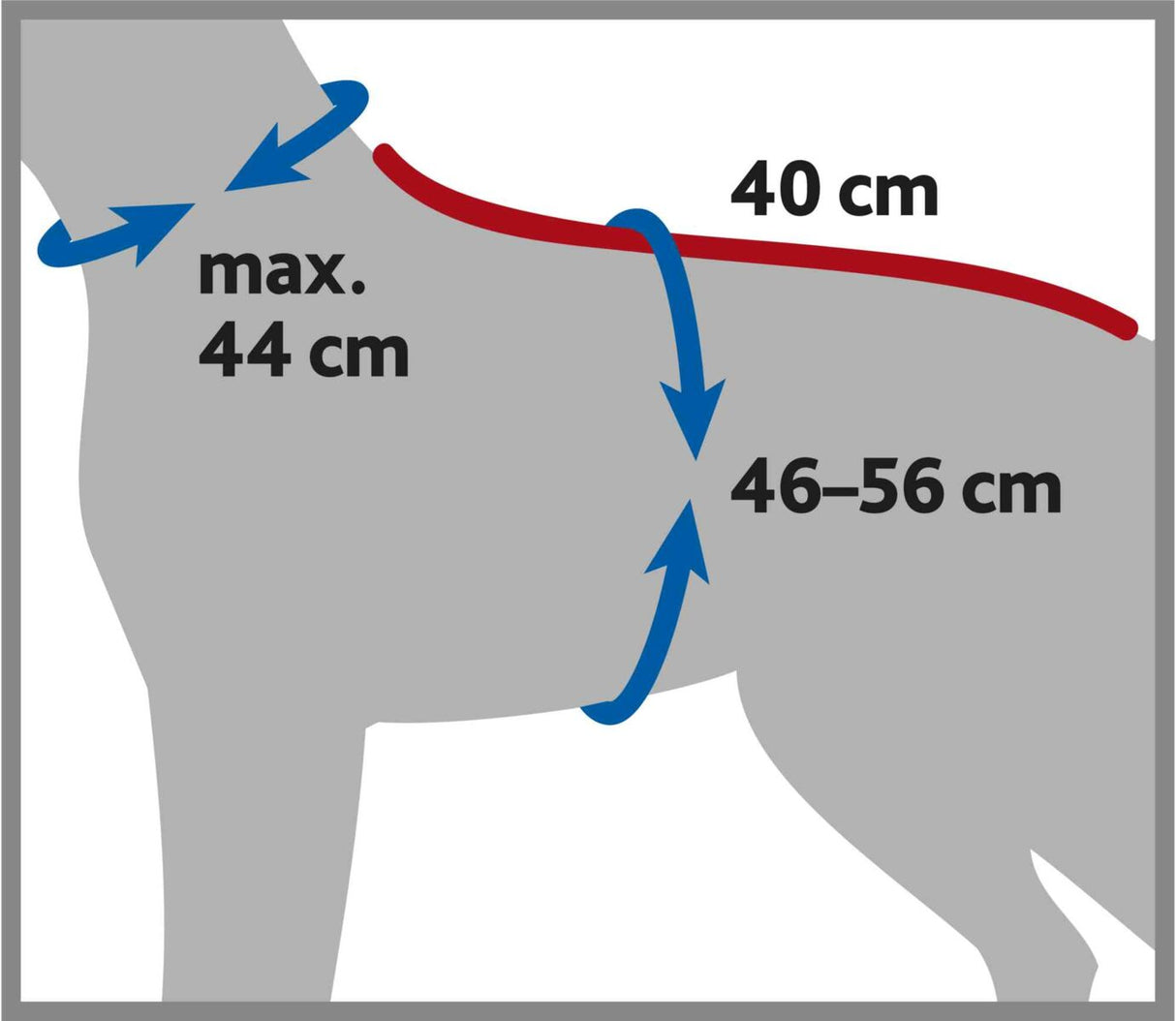 Diagramm eines grauen Hundes mit Maßangaben: Halsumfang maximal 44 cm, Rückenlänge 40 cm, Brustumfang 46–56 cm.
