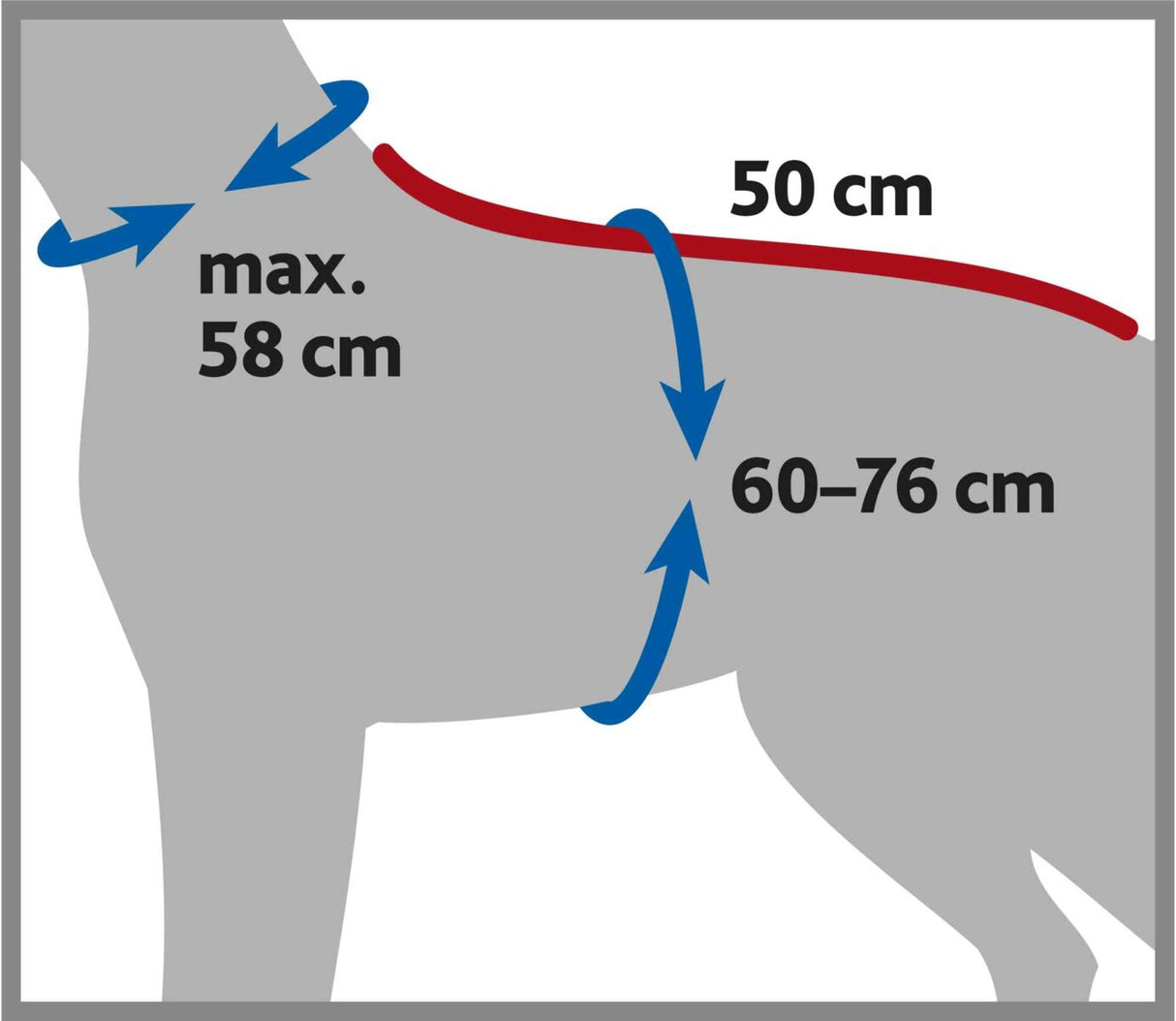 Diagramm eines Hundes mit Maßangaben, 58 cm maximaler Halsumfang, 50 cm Rückenlänge, 60–76 cm Brustumfang.