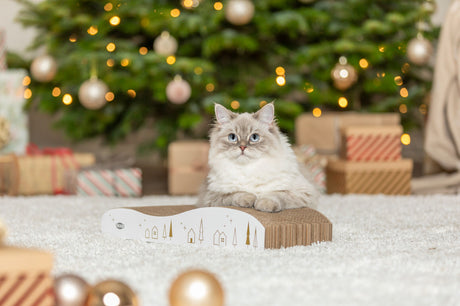 Eine graue Katze liegt vor einem geschmückten Weihnachtsbaum auf einer Kratzpappe.